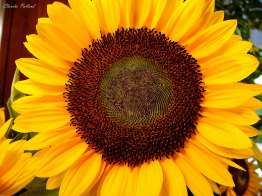 427884 (a): :1600x1200